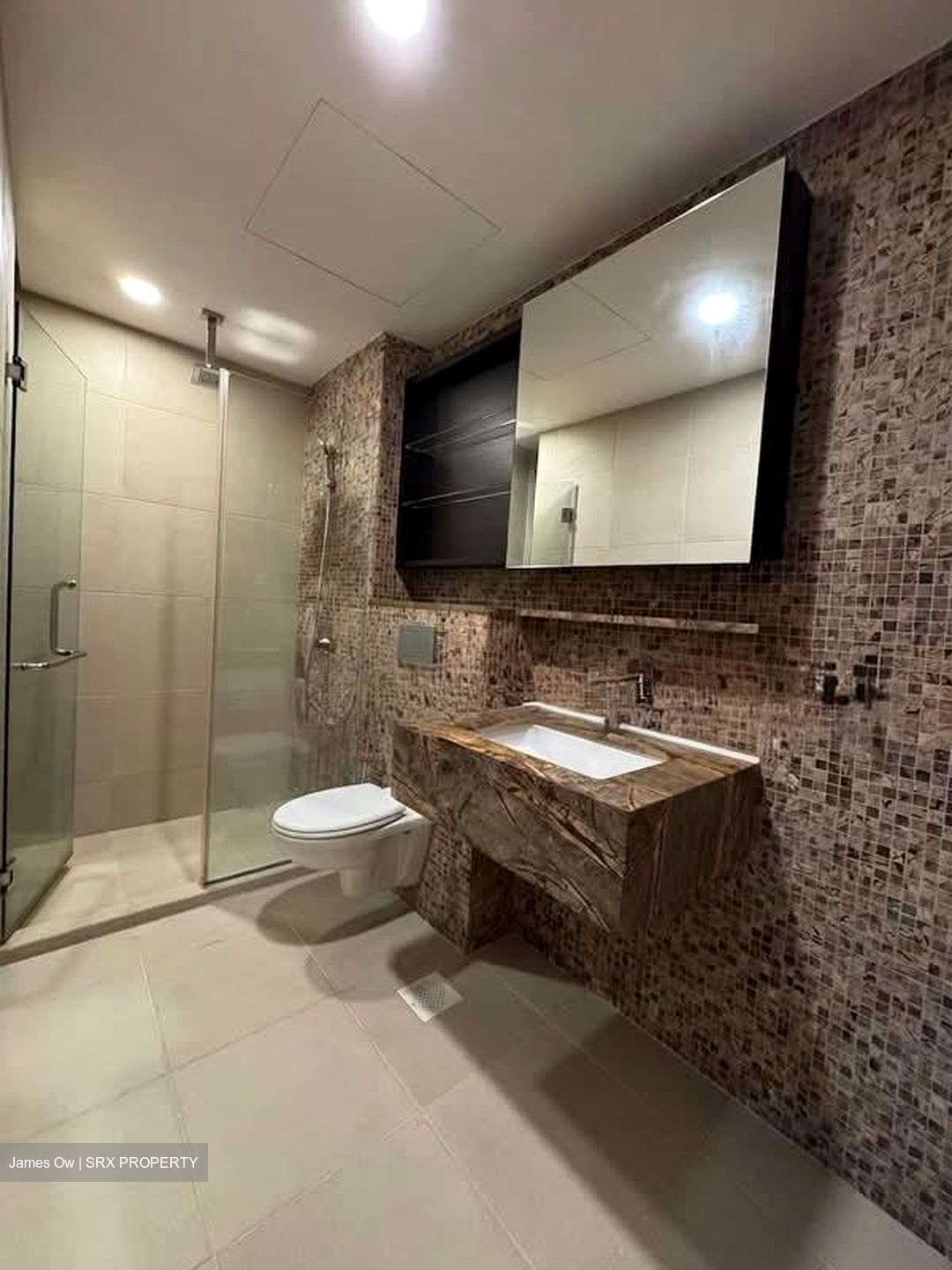 The Axis (D11), Apartment #557598611